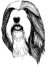 Welcome to the Bearded Collie Club of Southern California