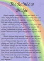 The Rainbow Bridge
